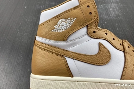 High Efficient (Women's)  Praline FN6622- OG 1 Retro 7117 69 Jordan 1109